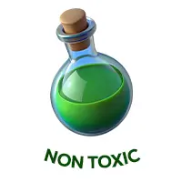 non_toxic_authentic